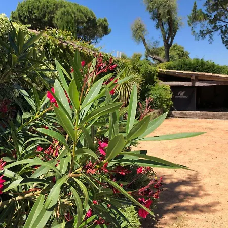 La Canopee By Interhome Holiday home Sainte-Maxime